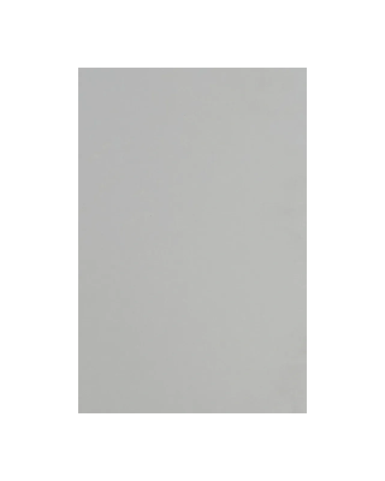 201 WHITE